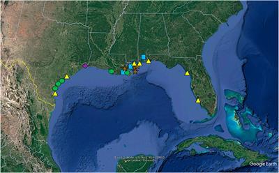 Editorial: Gulf of Mexico estuaries: ecology of the nearshore and coastal ecosystems impacted by the Deepwater Horizon oil spill